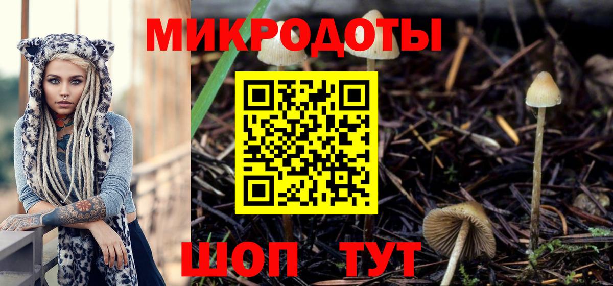 Псилоцибиновые грибы Magic Shrooms  сколько стоит  Нижний Новгород  Вход с VPN 